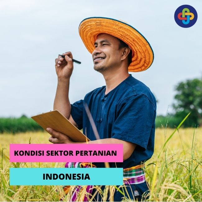 Bagaimana Kondisi Sektor Pertanian Indonesia Saat Ini